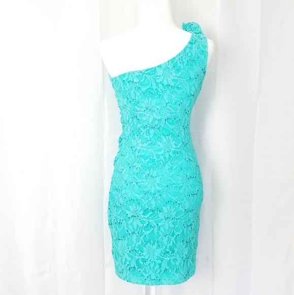COPY - NWT Hailey Adrianna Papell Sequined Lace Dress - Picture 3 of 8